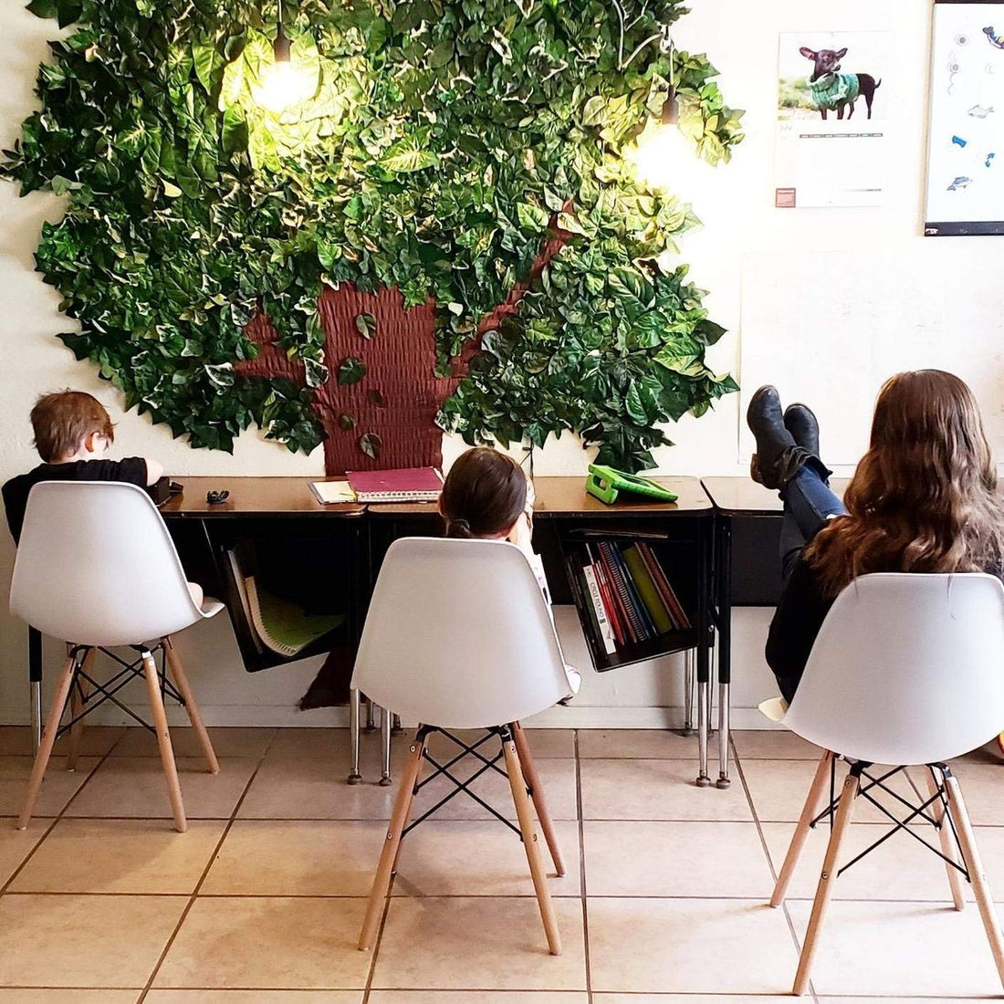 Why the Eames DSW Molded Plastic Side Chair is Still the Ultimate MCM Icon?