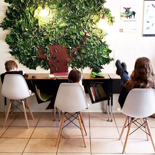 Why the Eames DSW Molded Plastic Side Chair is Still the Ultimate MCM Icon?