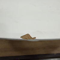 Tulip Table Oval - White Lacquer, White Base, 79" | 201cm