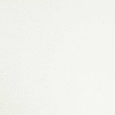Microfiber Leather - Trento Eggshell