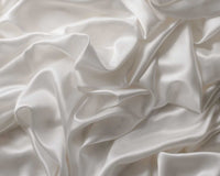 Mulberry Charmeuse Silk Duvet Cover - Ivory