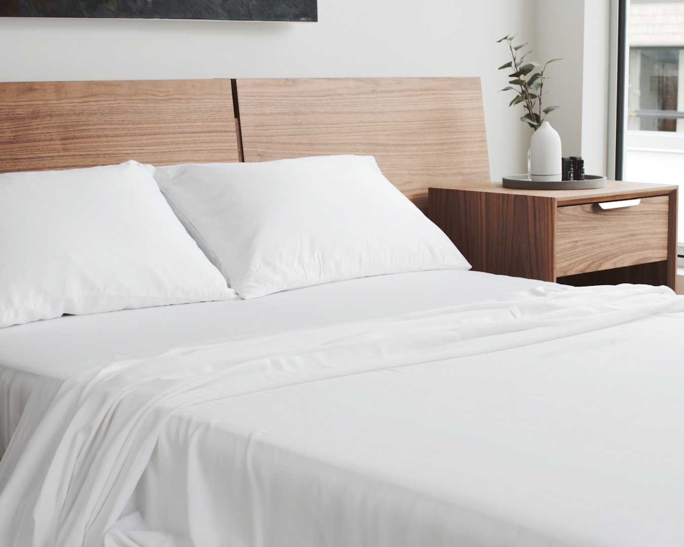 Organic Bamboo Viscose Sheet Set