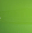 Green Glass - Large